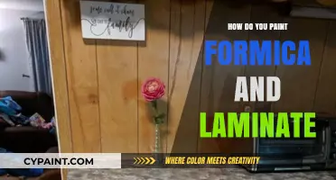 Revamp Your Surfaces: A Guide to Painting Formica and Laminate
