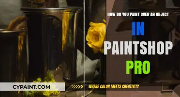 Mastering PaintShop Pro: Techniques to Paint Over Objects Seamlessly