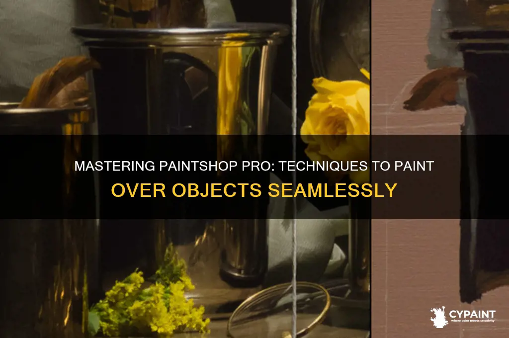 how do you paint over an object in paintshop pro
