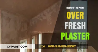 Mastering the Art: Painting Over Fresh Plaster Like a Pro