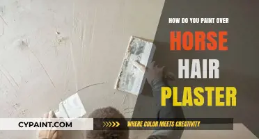 The Ultimate Guide to Painting Over Horse Hair Plaster