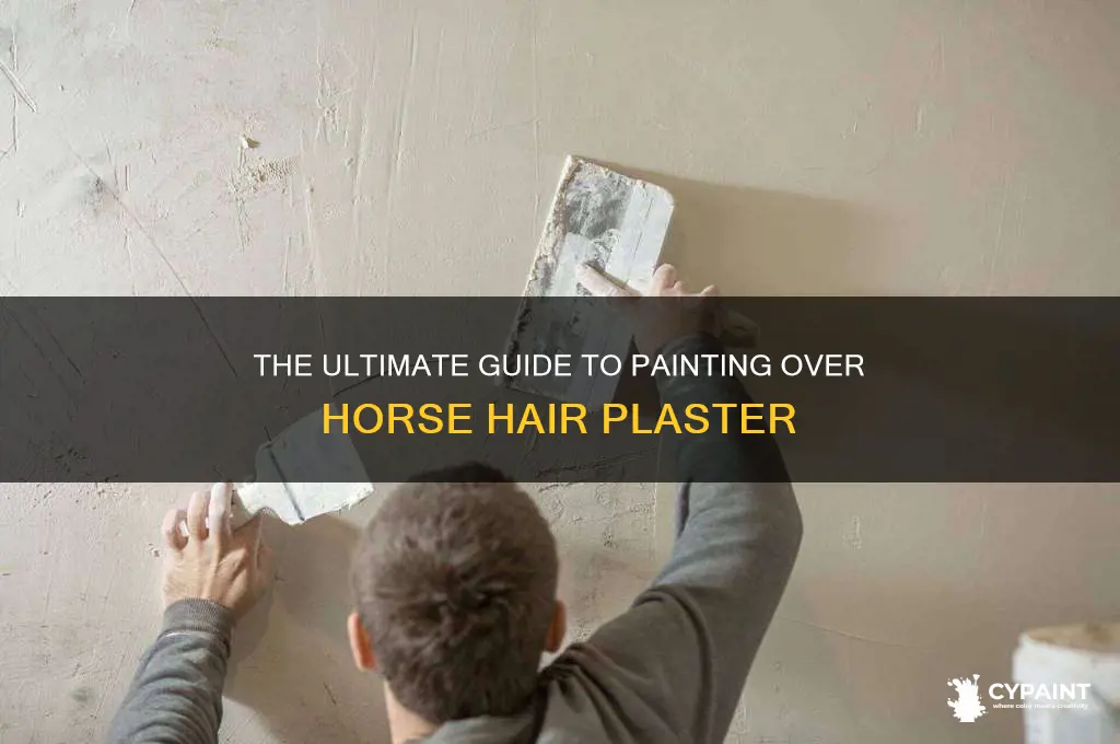 how do you paint over horse hair plaster
