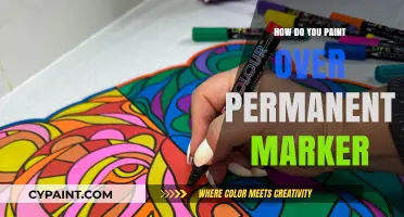 Erasing Permanence: Effective Techniques to Paint Over Permanent Marker