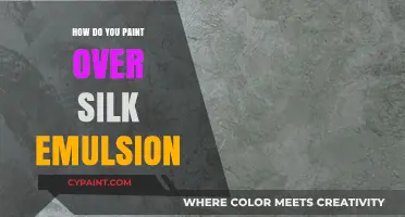 Painting Over Silk Emulsion: Tips for a Smooth, Durable Finish