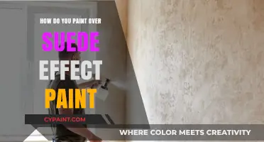 Transforming Suede Effect Paint: A Guide to Painting Over