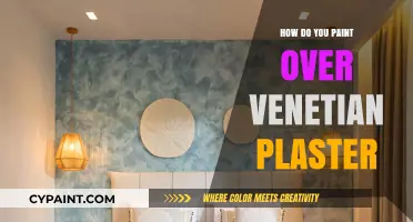 Mastering the Art: Painting Over Venetian Plaster for a Fresh Look