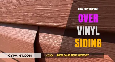 Revitalize Your Home: A Guide to Painting Vinyl Siding Successfully