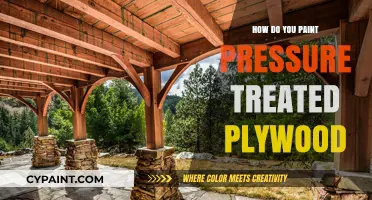 Mastering the Art of Painting Pressure-Treated Plywood: Tips and Techniques