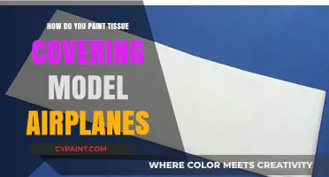 Mastering the Art of Painting Tissue-Covered Model Airplanes