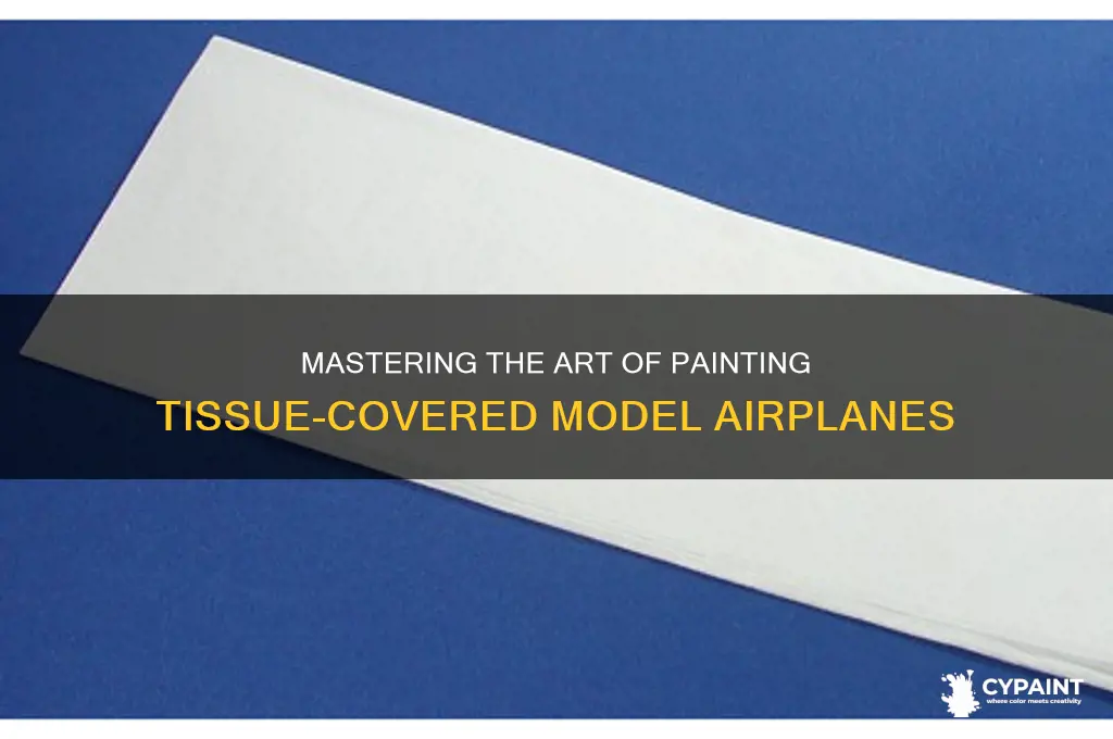 how do you paint tissue covering model airplanes