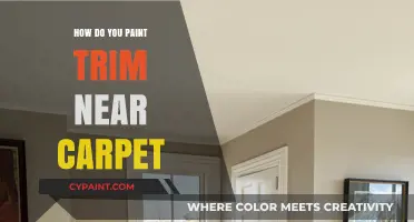 Painting Trim Near Carpet: Tips for a Clean, Professional Finish