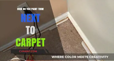 Painting Trim Next to Carpet: A Step-by-Step Guide