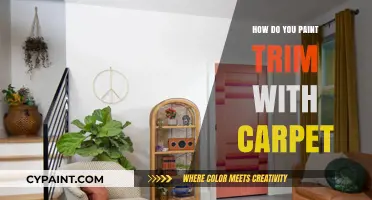 Painting Trim with Carpet: Tips for a Mess-Free Finish