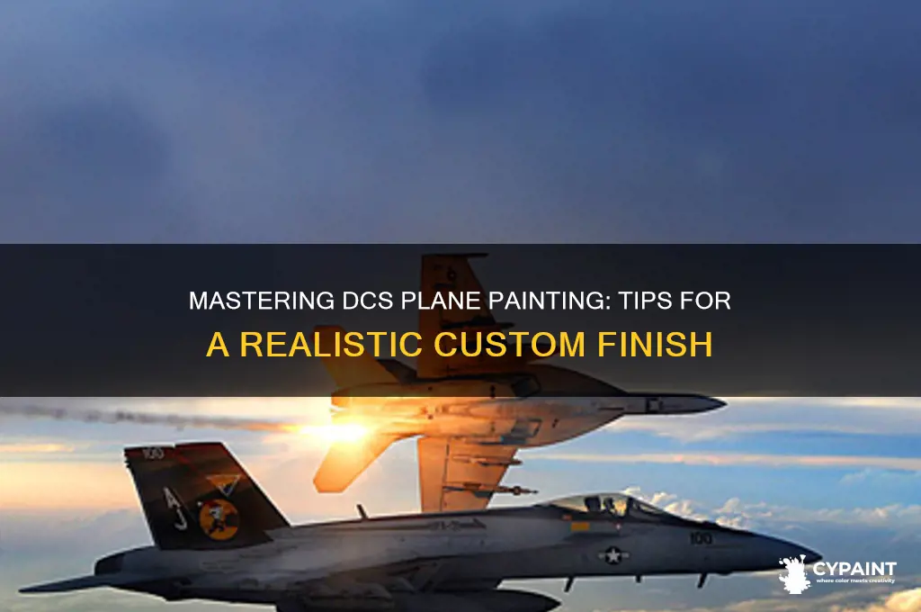 how do you paint your plane dcs