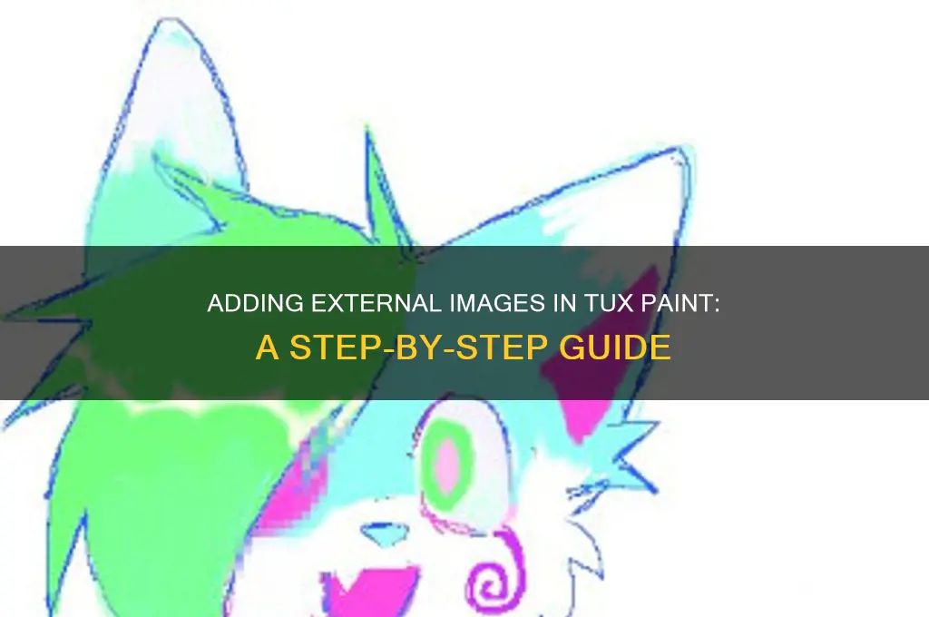 how do you place an external image in tux paint