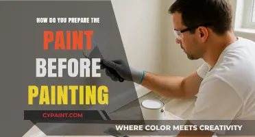 Mastering Paint Preparation: Essential Steps for a Flawless Finish