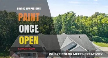 Preserve Paint Like a Pro: Tips for Storing Open Cans