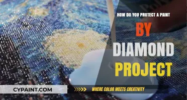 Protecting Your Paint by Diamond Project: Tips and Tricks