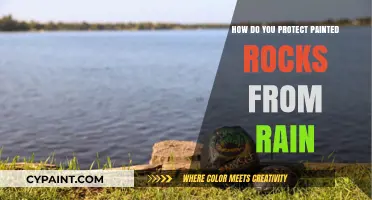 Shielding Painted Rocks: Weatherproofing Tips for Rainy Day Durability