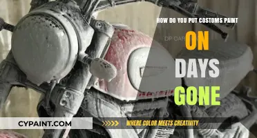 Custom Paint Jobs: Days Gone's Creative Guide