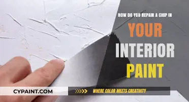 Quick Fix: Repairing Interior Paint Chips Like a Pro