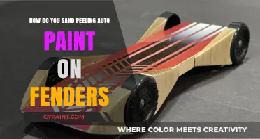 Sanding Peeling Auto Paint: Fender Fix-Up