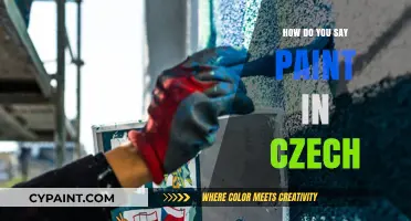 How to Say Paint in Czech: A Quick Language Guide