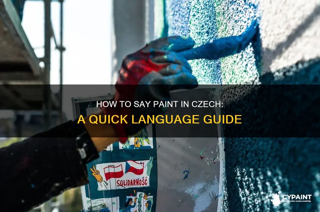 how do you say paint in czech