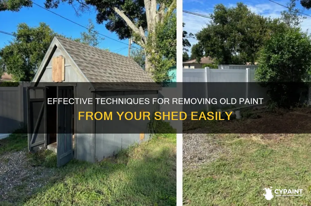 how do you scrape paint from a shed