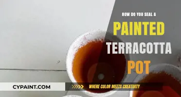 Sealing Painted Terracotta Pots: Easy Steps for Long-Lasting Protection