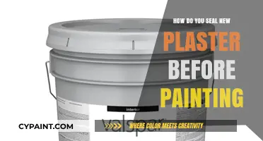 Sealing New Plaster: Essential Steps Before Painting Your Walls