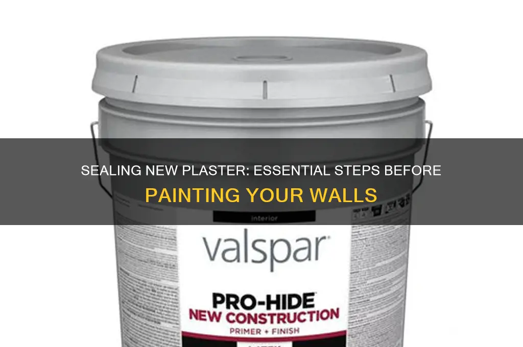 how do you seal new plaster before painting
