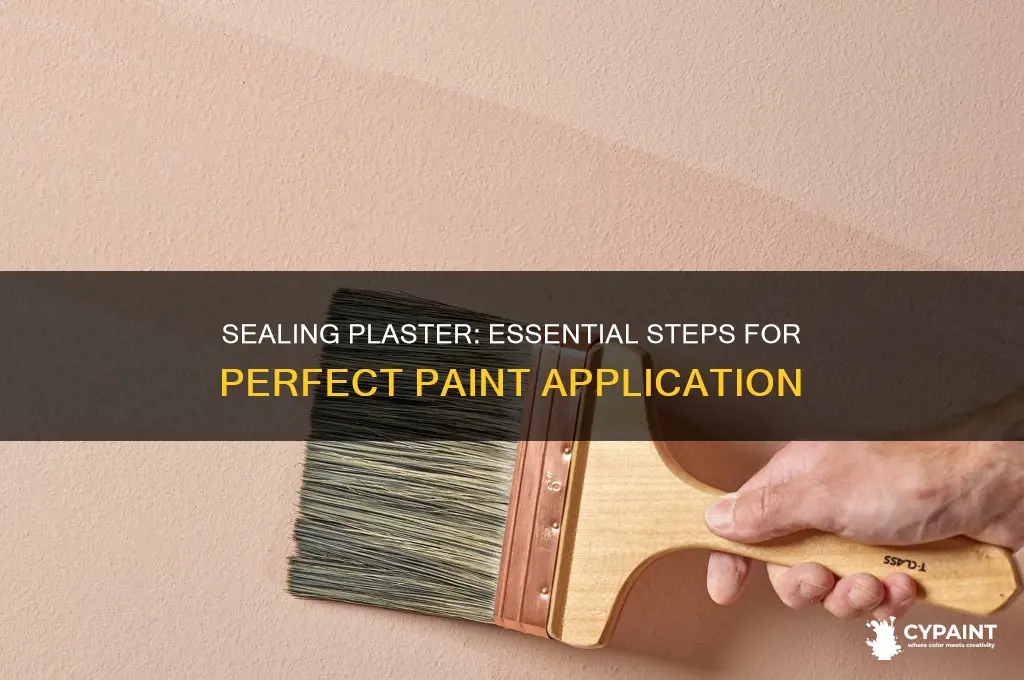 how do you seal plaster before painting