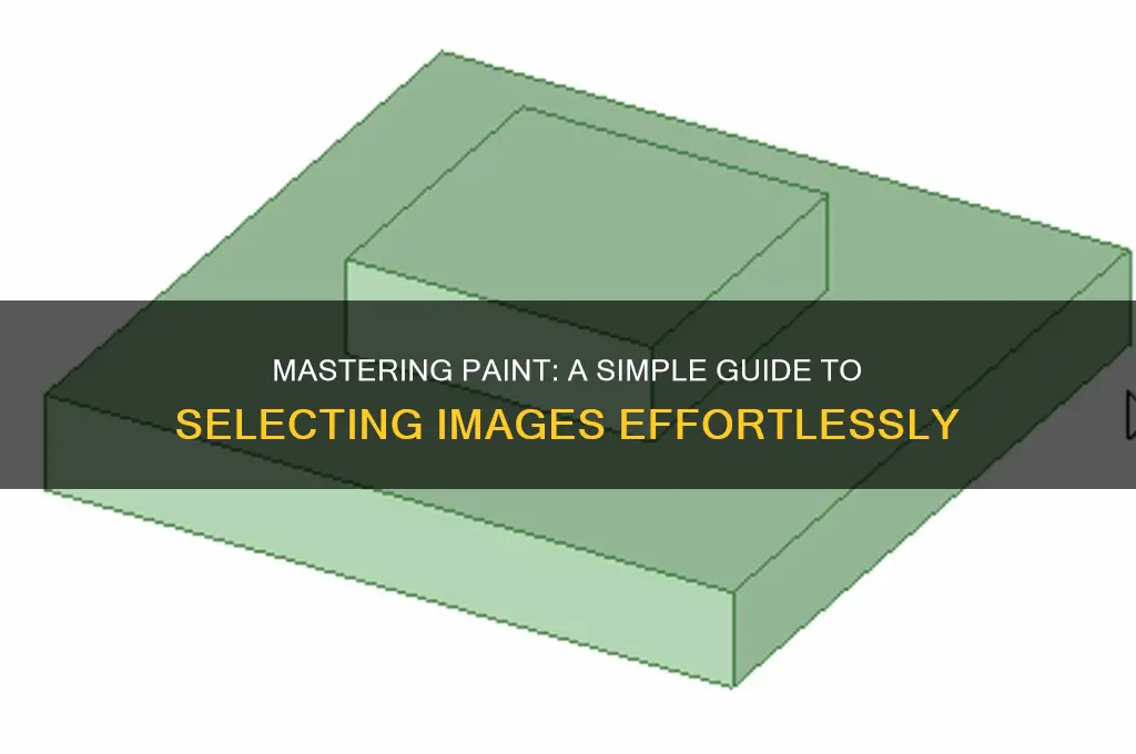 how do you select an image in paint