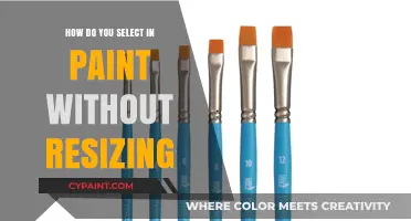 Mastering Paint Selection: How to Select Without Resizing Effortlessly