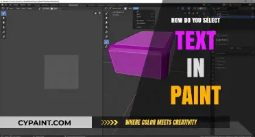 Mastering Text Selection in Paint: A Step-by-Step Guide