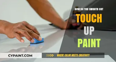 Mastering Paint Touch-Ups: Techniques for Seamless and Smooth Repairs