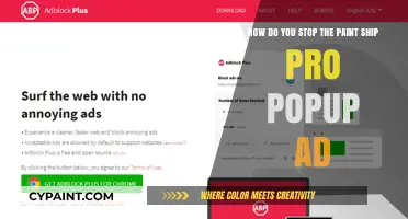 Stop Paint Ship Pro Popup Ads: Quick and Effective Solutions