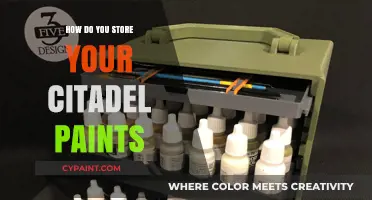 Organizing Your Citadel Paints: Tips for Efficient Storage and Accessibility