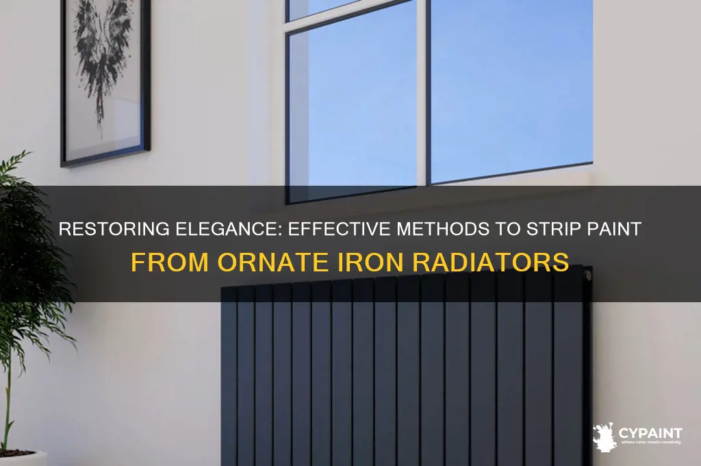 how do you strip paint from an ornate iron radiator