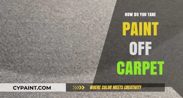 Effective Methods to Remove Paint Stains from Your Carpet Easily