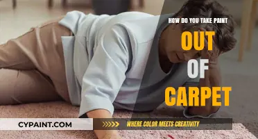 Effective Methods to Remove Paint Stains from Your Carpet Easily