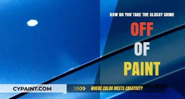 Remove Glossy Shine from Paint: Easy Techniques for a Matte Finish