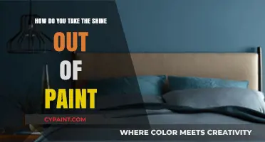 The Secret to a Perfectly Matte Finish: Removing Paint Shine