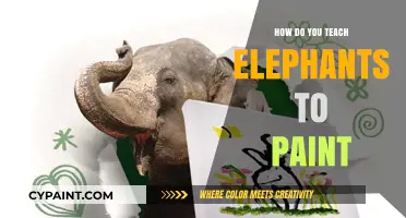 Teaching Elephants to Paint: Unveiling the Creative Training Process