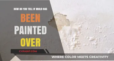 Detecting Hidden Mold: Signs of Paint Cover-Ups and Risks