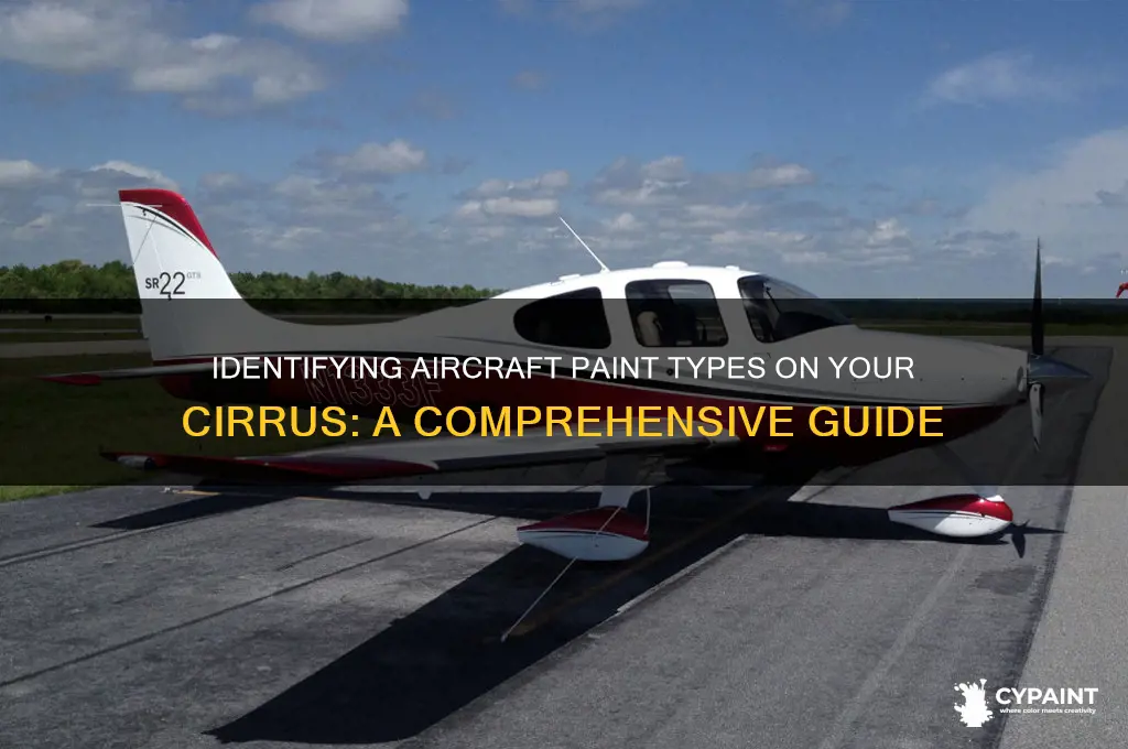 how do you tell what paint is on your cirrus