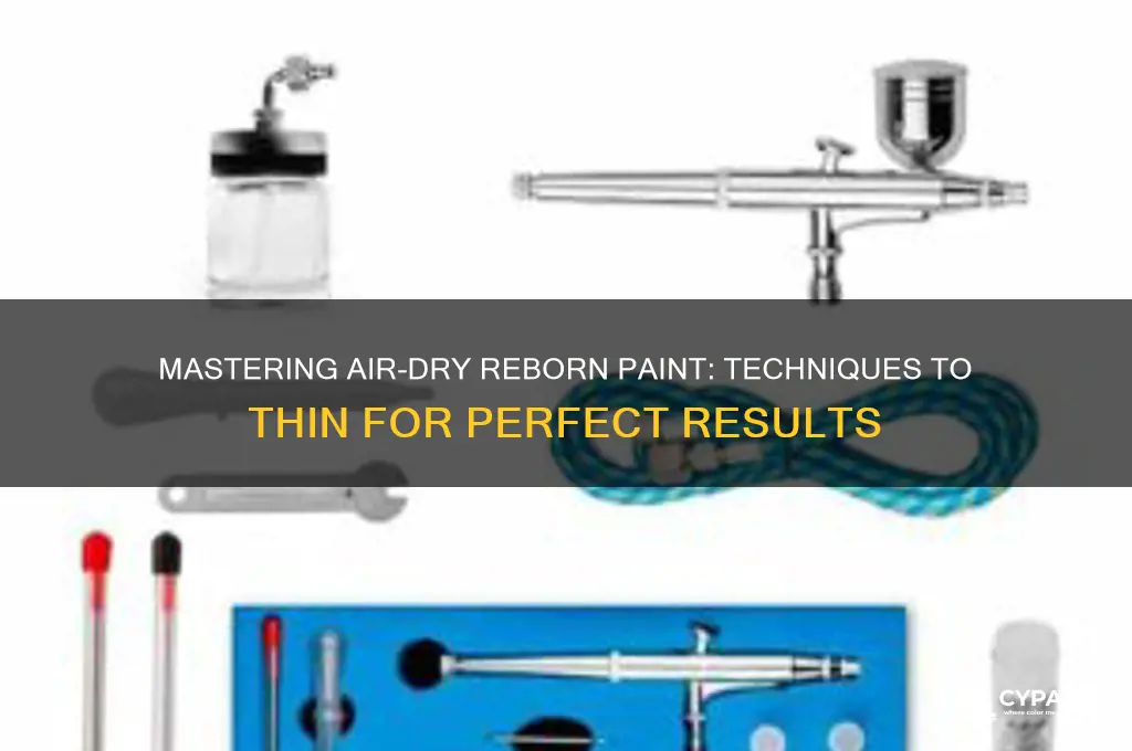 how do you thin out airdry reborn paint