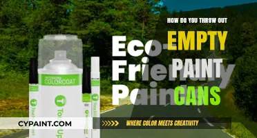 Eco-Friendly Disposal: A Guide to Recycling Empty Paint Cans