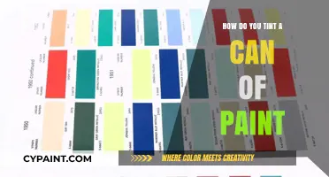 Mastering the Art of Tinting Paint: A Step-by-Step Guide